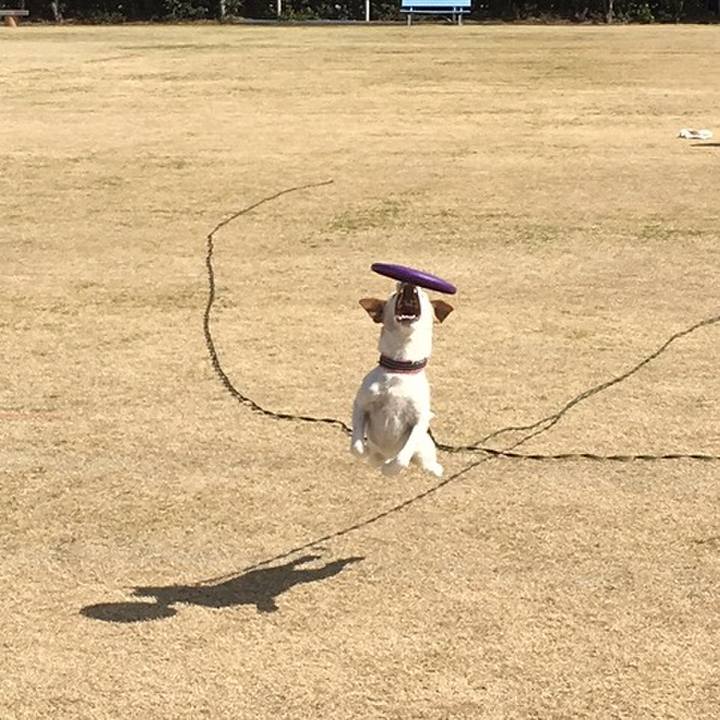 4b4677c1 8a8a 4ef3 b457 2a10f337cef8