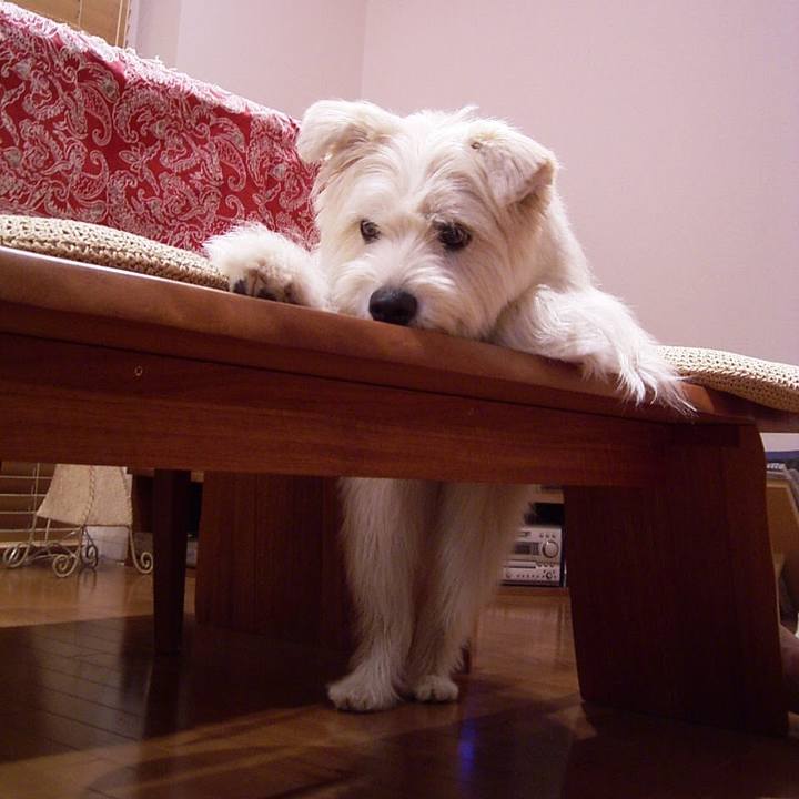 4b474f34 9aca 4eea aebc b95db8abaeb6