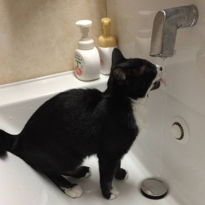 4b487e70 2643 45ac 8179 e1da1c05a845