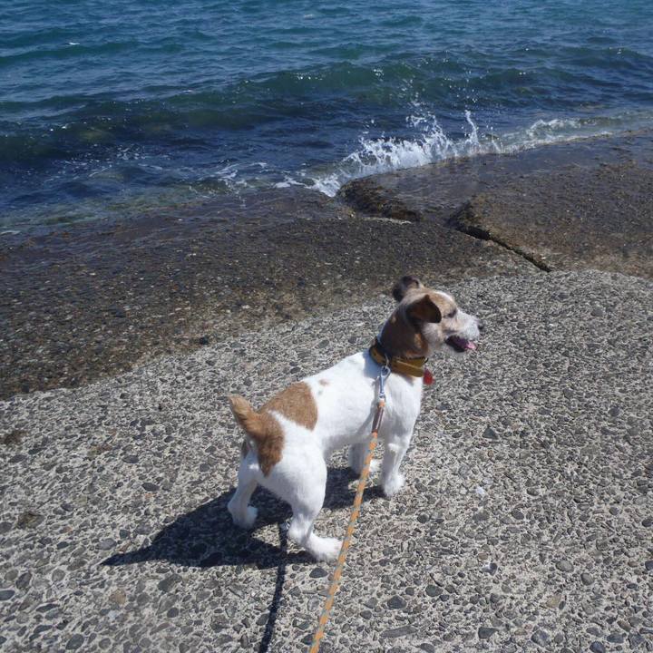 4b48e9fe 4ad2 42e4 95c1 109d929c0e95