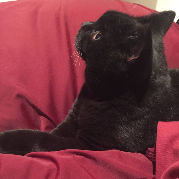 4b494865 9021 4ead b0b3 506bfdd9161f