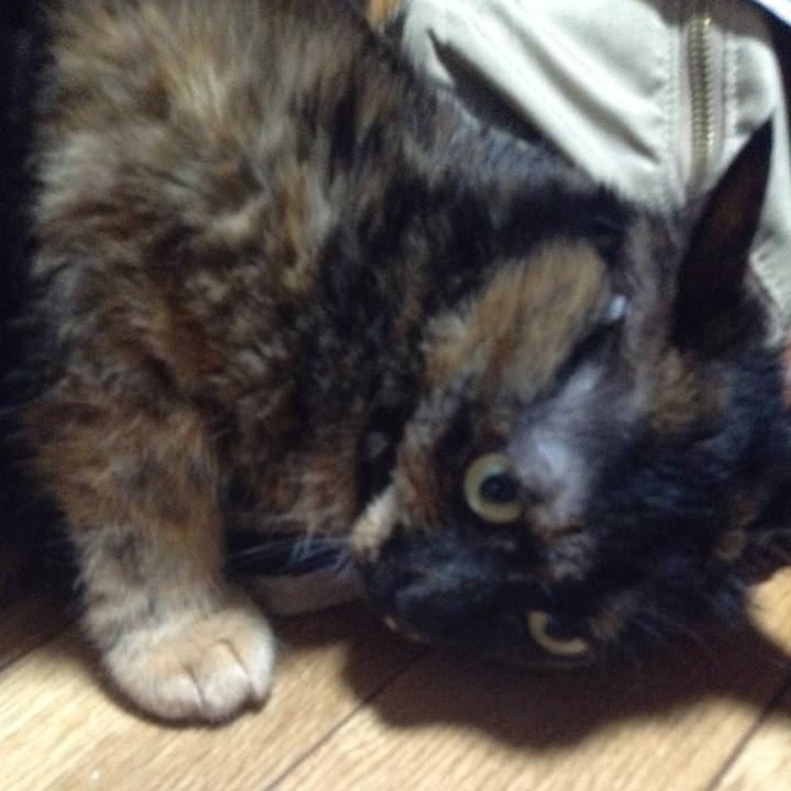 4b49cfde 01be 4a71 9320 157ec87ace86