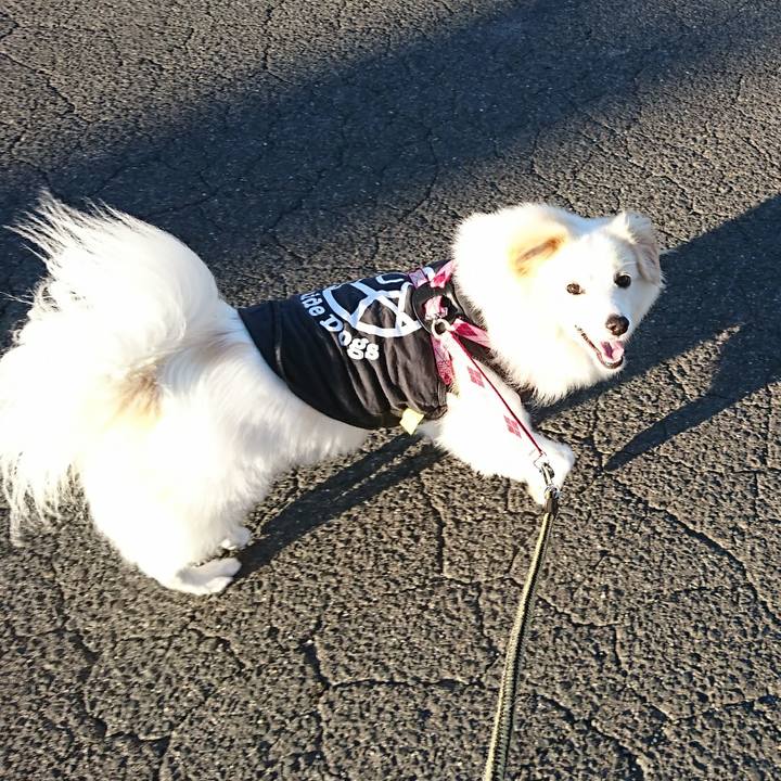 4b4a0a31 e6c2 4267 a470 d75e784c64fd