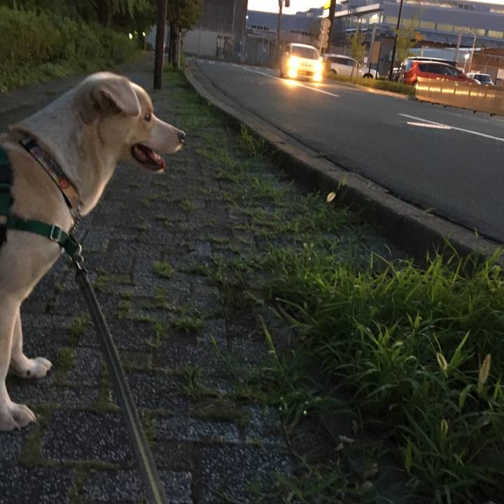 4b4a5def 4569 4b3e a199 63ac2df62396