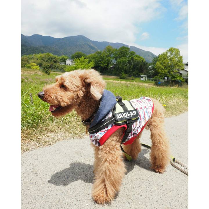 4b4a93a7 eebc 4631 99b8 a126edb668d0