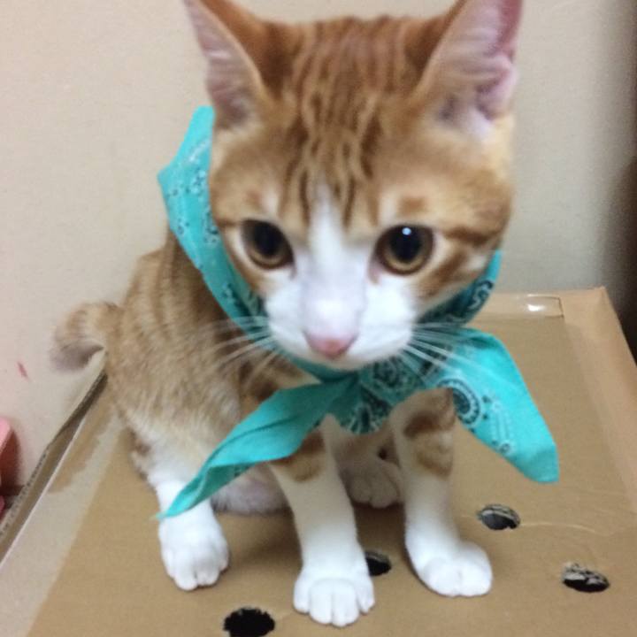 4b4b37c7 9138 4bea bb4a 7b09f4f73a0d