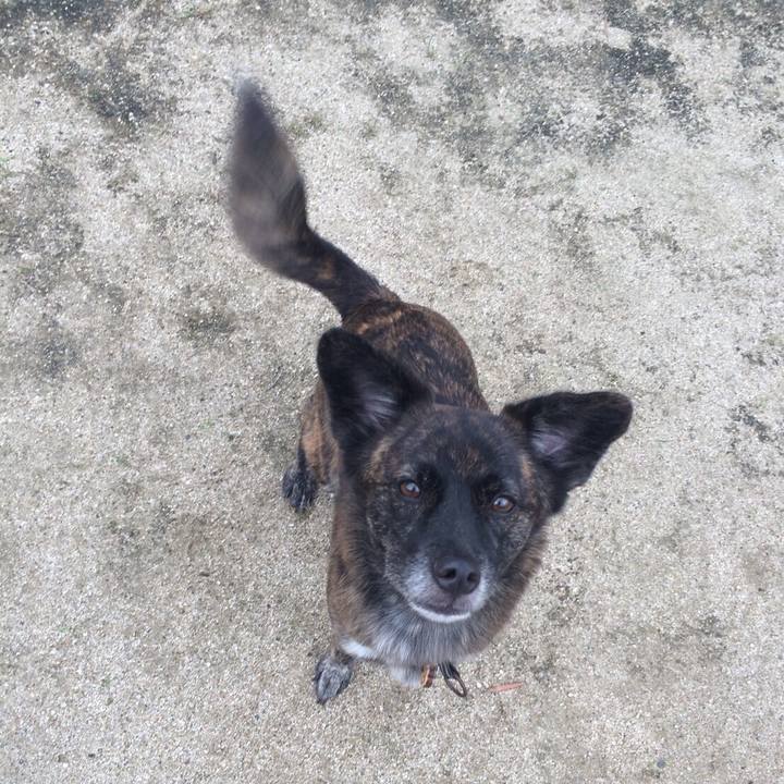 4b4b6228 6785 4ff7 a28c a1078524e405