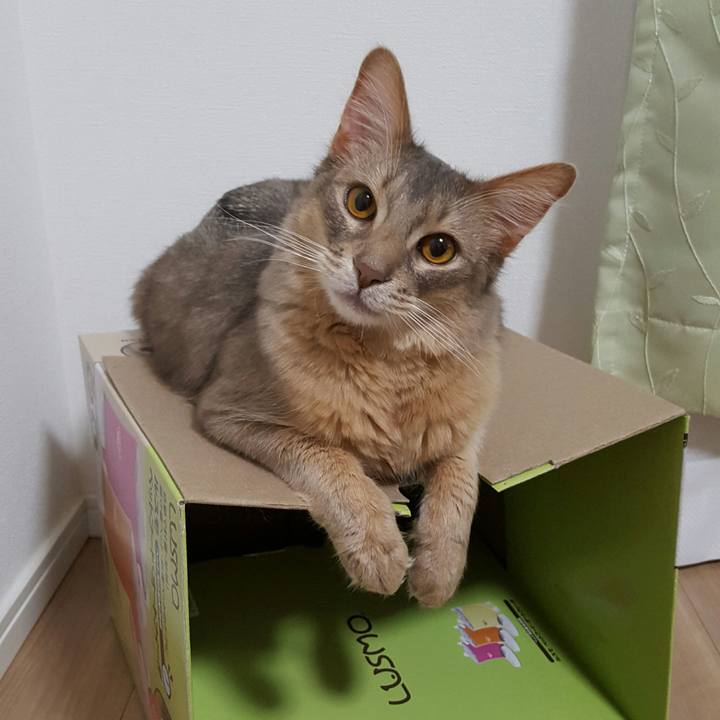 4b4c17d0 5c24 4973 b1c7 8422b899b62a