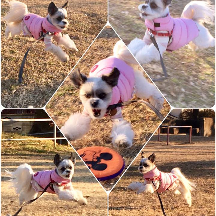 4b4c7dd9 38eb 44a7 9605 599b35bc66ab