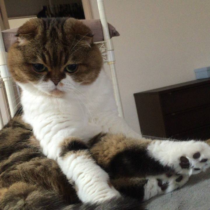 4b4c9ac6 0f1d 483d b72c 29ffc8190f8a