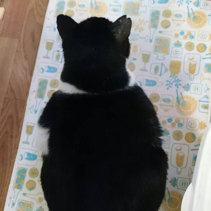 4b4cc5cd 7802 43ae 9cc7 604664bffa89