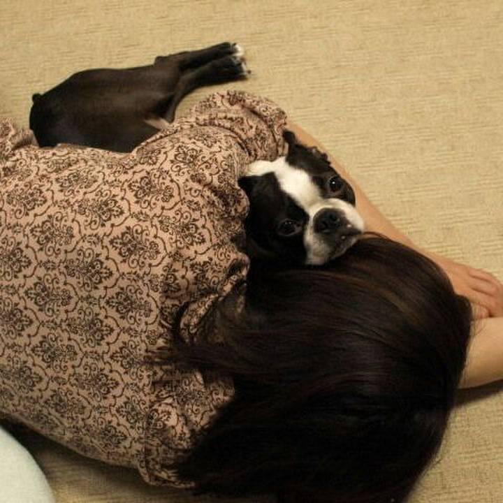 4b4d64f4 982c 4c04 8762 85bde9edd3b8