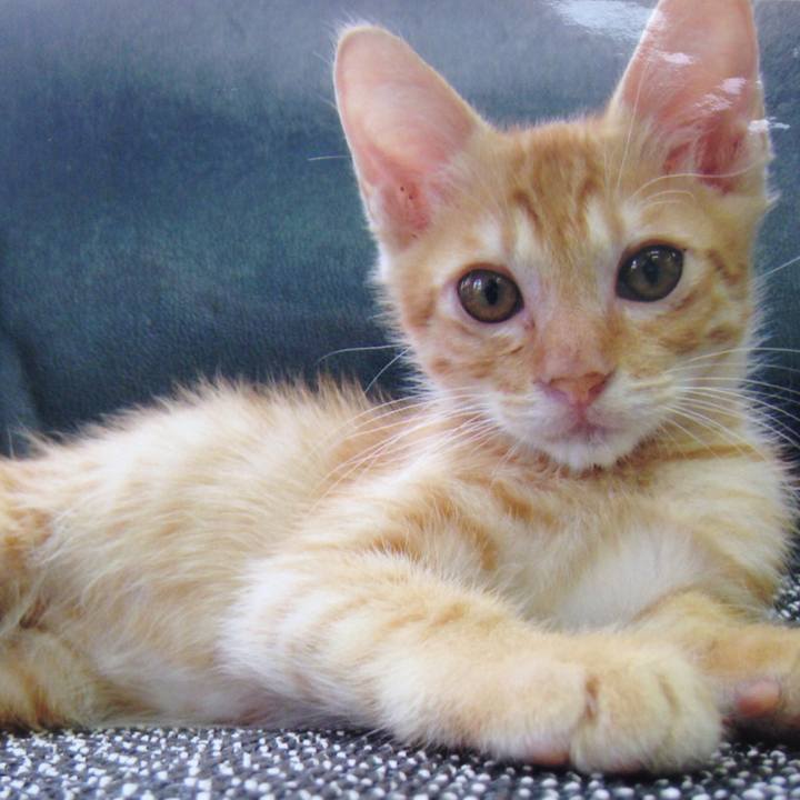 4b4e0689 6113 4573 b6cd f5e1878132c1