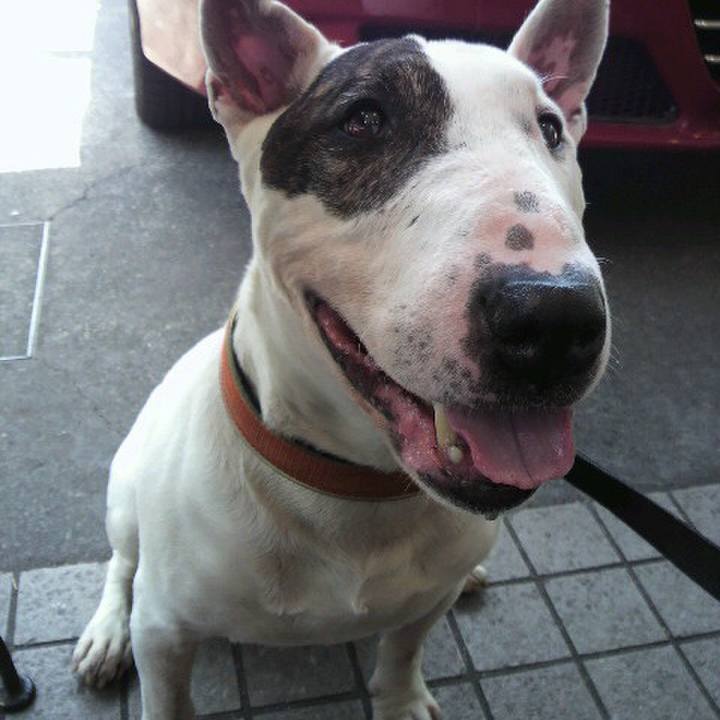 4b4e6de1 44ba 494e bc2a 619b715939fa