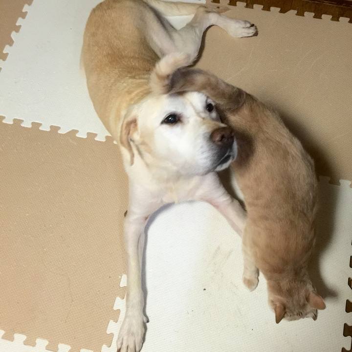 4b4e9470 ff14 4401 b3a3 07fa0a0e17ae