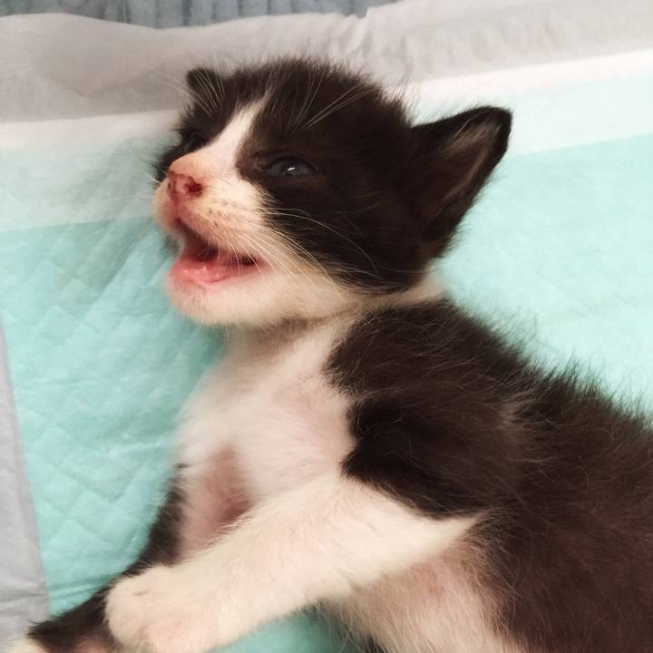 4b4ea7de 2f94 4adf aadb f33f5dbef86a