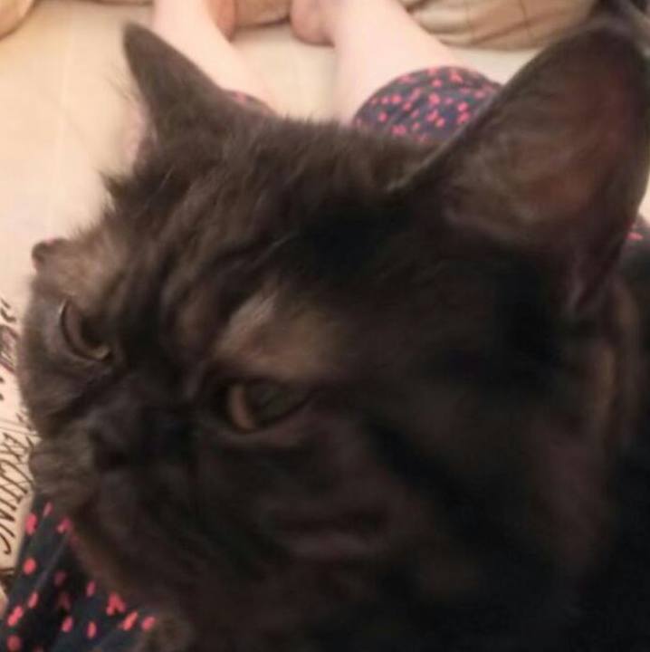 4b4ebfa4 3727 4b6d 9e33 efb02a9a8056