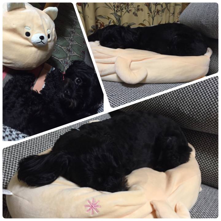 4b4ec3a0 b77a 4985 9746 158d822ee9ab