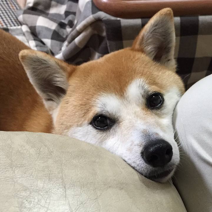 4b4ecdc6 c6c8 4727 99e5 10fb48701a27