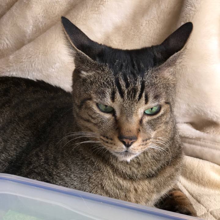 4b4ed29b 407f 43a2 944f 2e495330df41