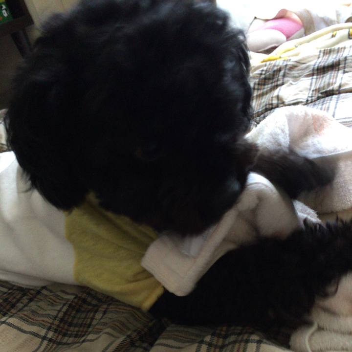 4b4eeae4 550a 4b2b 9f9a ec550d912898