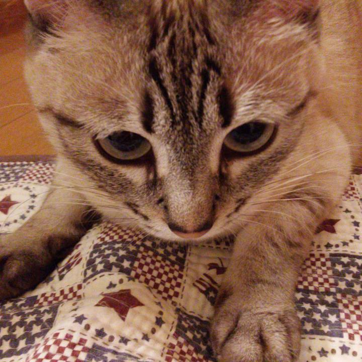 4b4f137c 5d2c 4940 a5ba 999f8466674d