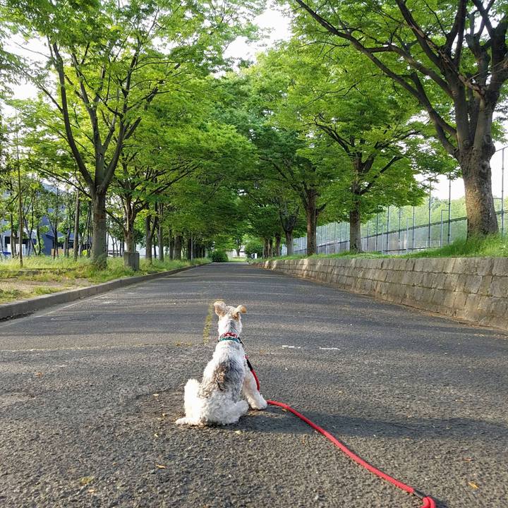 4b4fa836 6e48 4b5e ab96 2cdf9e787428