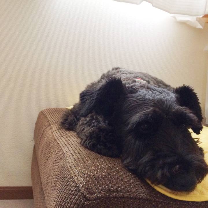 4b4fd08b 6b27 4ea7 ab42 e99a4e738cfa