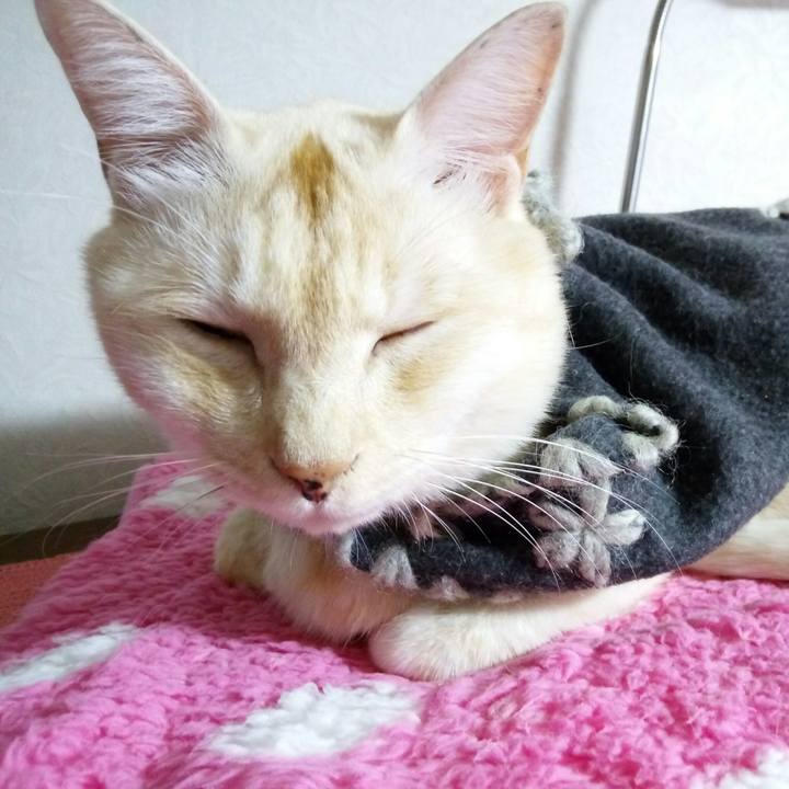 4b5003e0 7925 44a4 9b48 65fb44eb6d3f