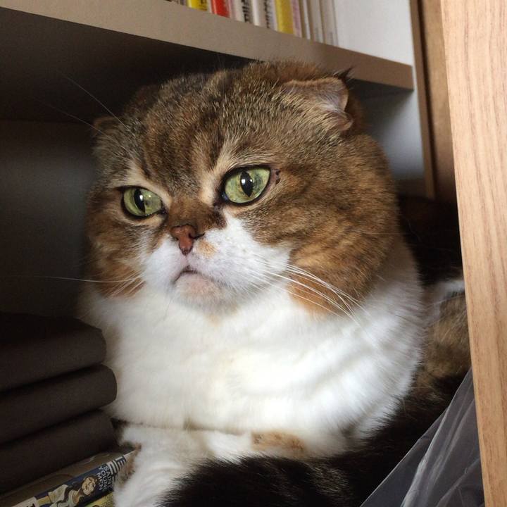 4b5077fe cedd 4af7 ae81 1d33c37dd822