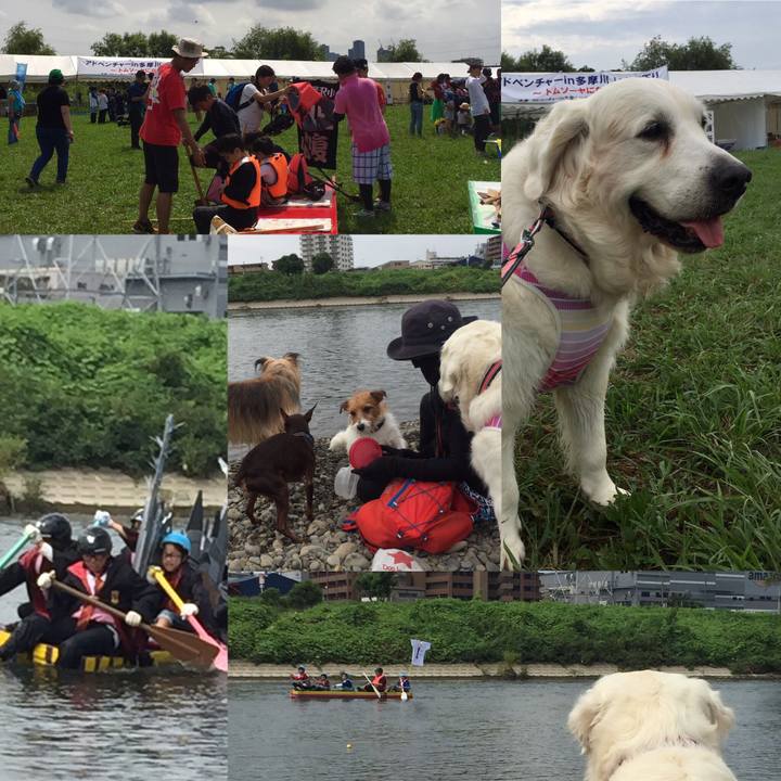 4b510c9e a64e 4010 810b 0f8a2a72cf7c