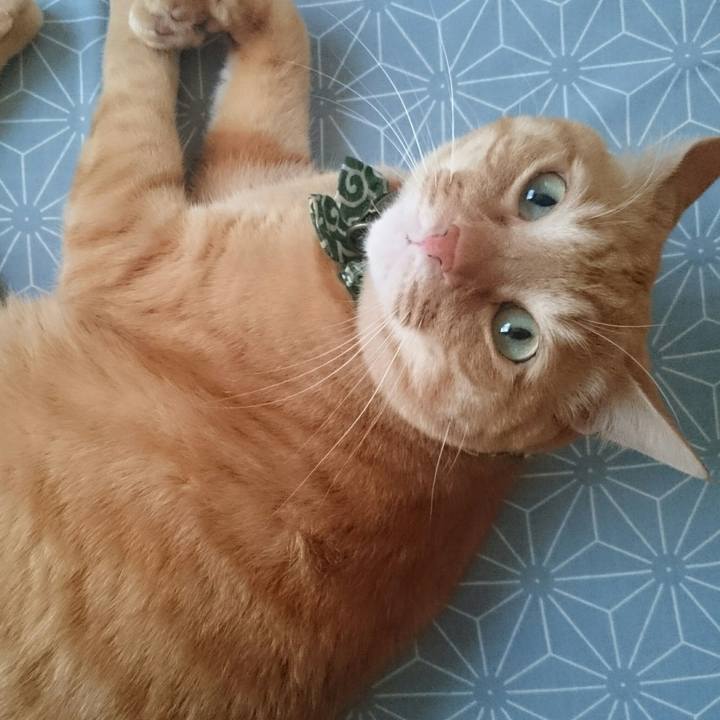 4b51111c cbf2 48cc b679 7748e323a1c8