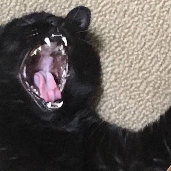 4b511144 9de6 42da a686 37b75ad695cb