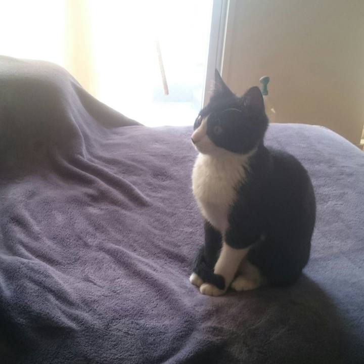 4b514f32 bc41 4142 a31f e19f840df6b1