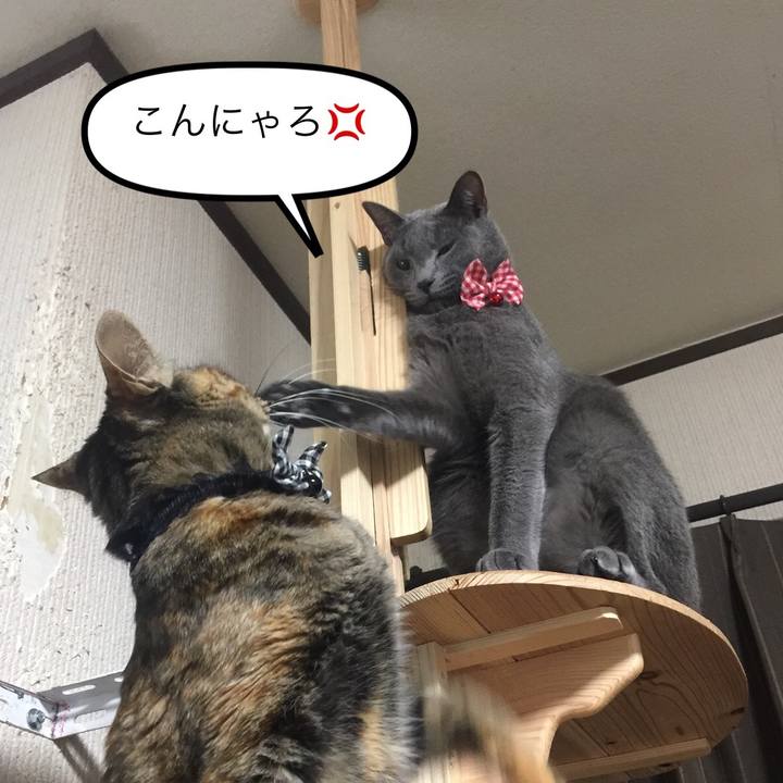 4b520eac eabb 4135 88b1 d352ec0e96ce