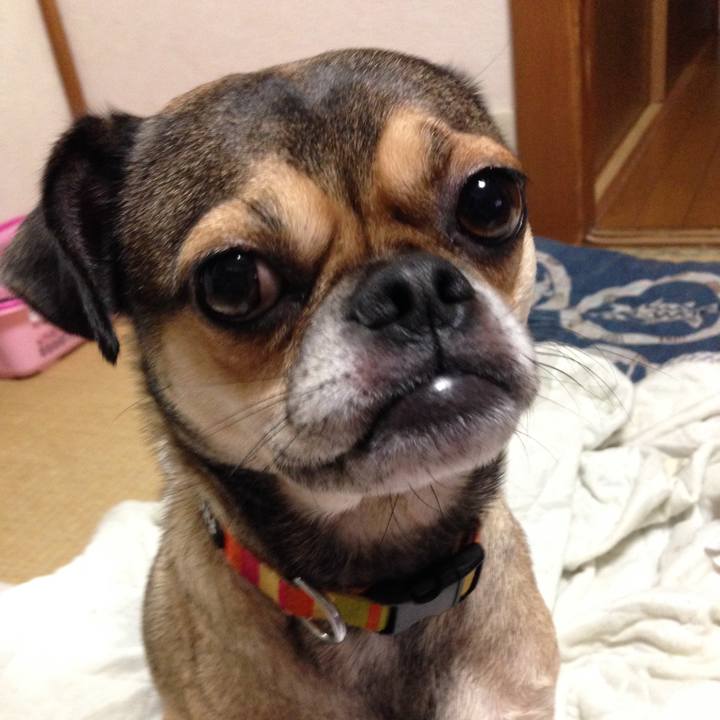 4b52dd22 08bf 4d15 8de1 cb84ebd3b95f