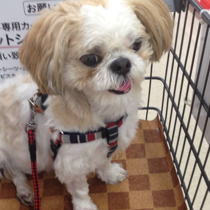 4b53020b d036 4340 9bb1 a11642deb610