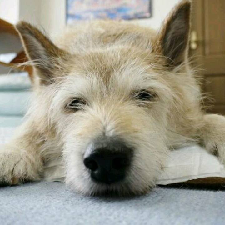 4b53ab78 1674 4baf 8c31 47f268c27ad8