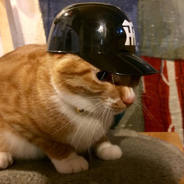 4b53c517 aabc 4010 b8a7 2d429d1133f9