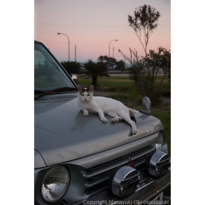 4b53e23d b0a2 4851 9f56 0d3fd8818a3b