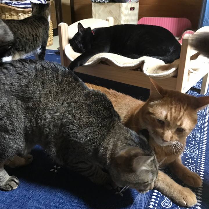 4b53ea25 1ae3 4a1f 943c d4ddc87ad6c5