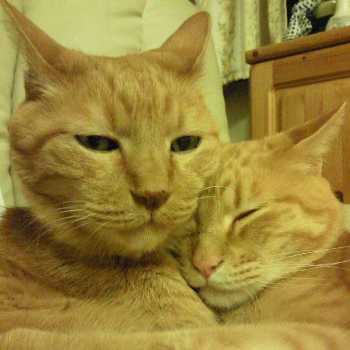 4b547dde 70db 4d1f 9c84 148c114f0ff5