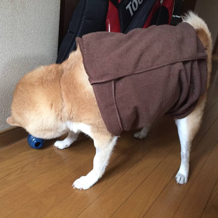 4b5516c9 0983 482f 99cb b37b99e468fe