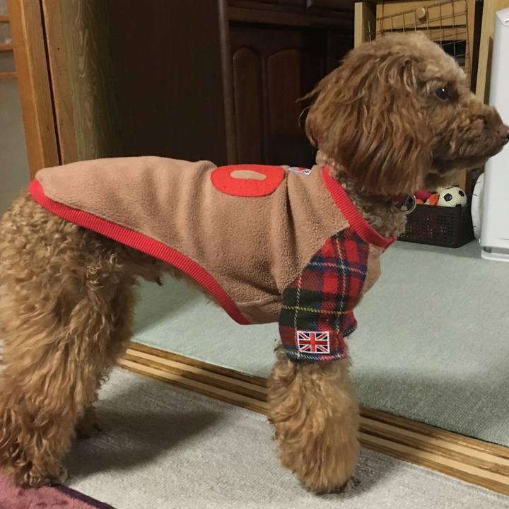 4b551db7 434e 4a79 b340 05a8c2302e4d