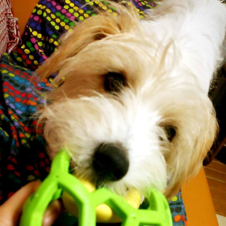 4b55372d 29f0 4c3a b9ce 4220e23939b5