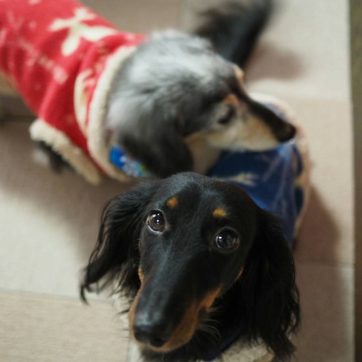 4b5582b8 899d 4cf4 8244 5ae20991d0e7