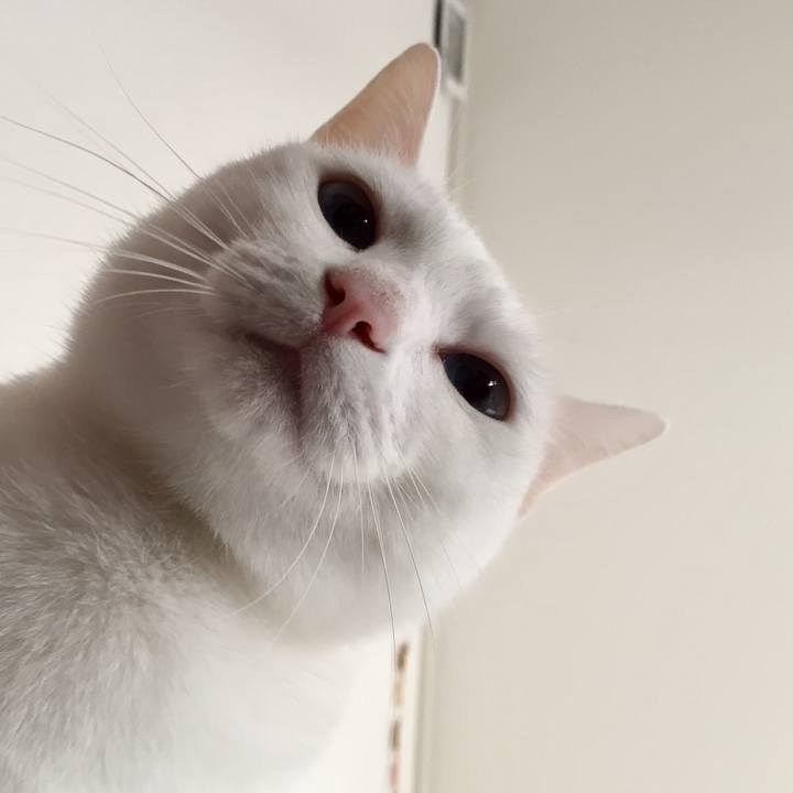 4b55a231 2b6a 46c2 99b6 474bf757a1a2