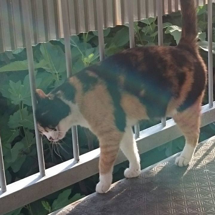 4b55d5cd 2930 4071 aa96 8261aadcc758