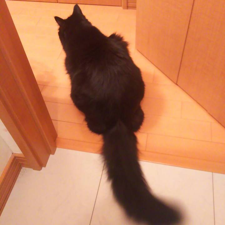 4b560d12 5a41 46f0 99b9 5ff4a608a835