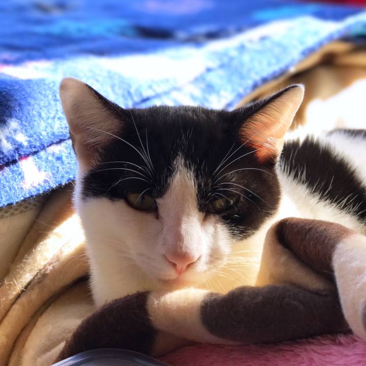 4b581210 35d4 4ff1 987a 02a91401650f